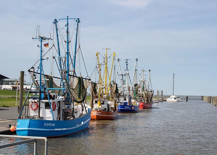 Sieltrift 33-09 شقة *